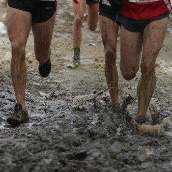 Landesmeister im Cross gesucht (Foto: Holger Teusch).