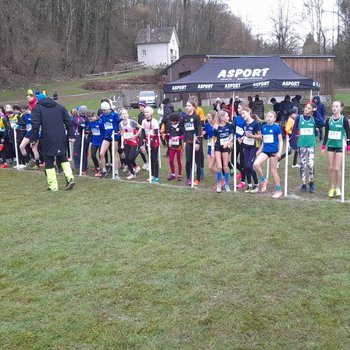 Eurocross mit guten Einzelplatzierungen (privat).