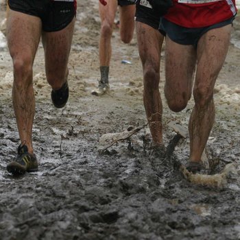 Gute Chancen auf Cross-Medaillen (Foto: Holger Teusch).