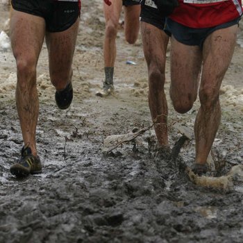 Landesmeister im Cross gesucht (Foto: Holger Teusch).