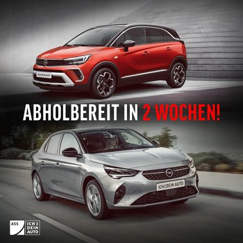 SUV-Feeling oder wendig zum Verein – was darf’s denn sein? 
