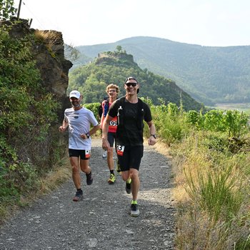 Abschnitte des Rotweinwanderweges sind fester Bestandteil der Laufstrecke  (Foto: Jojo Laubner) 