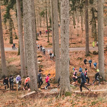 An der Eidahler Wand beim Argenthaler Quarzit Adventstrail (Foto: Dennis Irmiter)