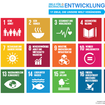 Die dsj will die Sustainable Development Goals (SDGs) bekannter machen